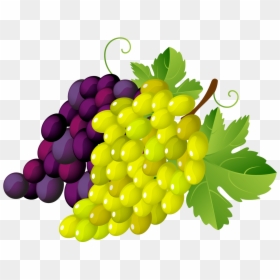 Nomes De Frutas Em Frances, HD Png Download - grapes png
