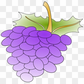 Cartoon Grapes, HD Png Download - grapes png