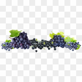 Free Grapes Png - Portable Network Graphics, Transparent Png - grapes png