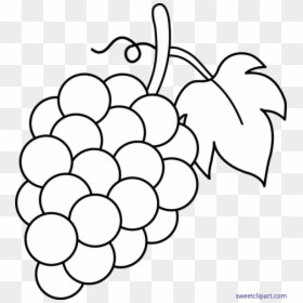 Grape Clipart Black And White - Grapes Clipart Black And White, HD Png Download - grapes png