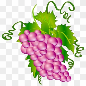 Grapes Clipart - Grapes On A Vine Clipart, HD Png Download - grapes png