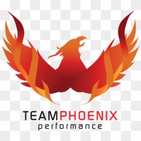 Team Phoenix, HD Png Download - phoenix png