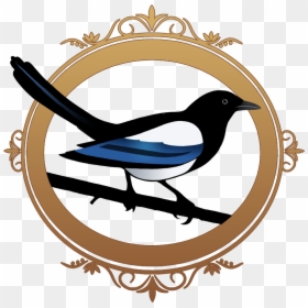 Magpie, HD Png Download - twitter bird png