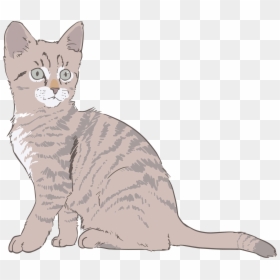 Kitten Clip Art, HD Png Download - kitten png