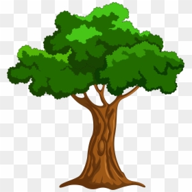 Clipart Tree, HD Png Download - oak tree png