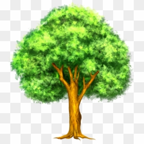 Oak Tree Png, Transparent Png - oak tree png