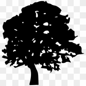 Cartoon Trees Black And White, HD Png Download - oak tree png