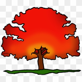 Red Oak Tree Clip Art, HD Png Download - oak tree png