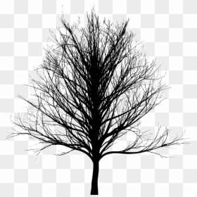 Dark Tree Line Art, HD Png Download - oak tree png