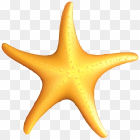 Starfish Png, Transparent Png - starfish png