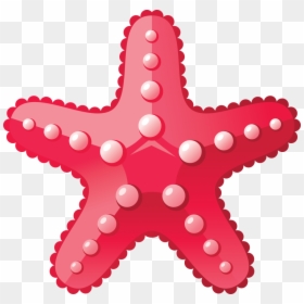 Estrela Do Mar Png, Transparent Png - starfish png