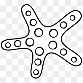 Starfish Clipart Black And White, HD Png Download - starfish png
