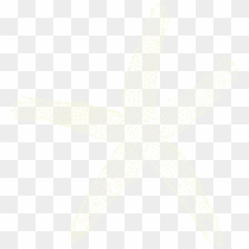 Star Fish Png White, Transparent Png - starfish png