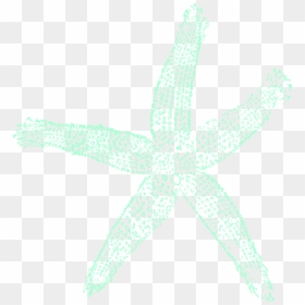 Estrela Do Mar Png, Transparent Png - starfish png