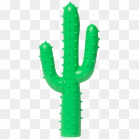 Cactus Toy, HD Png Download - succulent png