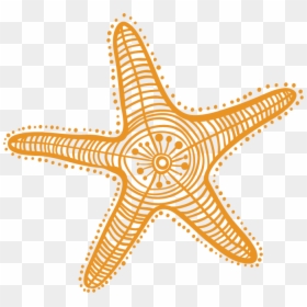 Estrella De Mar Clipart, HD Png Download - starfish png