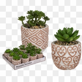 Flowerpot, HD Png Download - succulent png