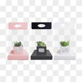 Bonsai, HD Png Download - succulent png