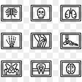 Layout Png, Transparent Png - bone png