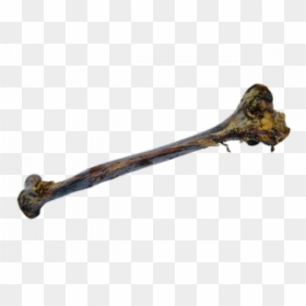 Twig, HD Png Download - bone png