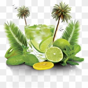 Mojito Flyer, HD Png Download - lime png