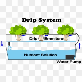Do Hydroponics Work, HD Png Download - drip png