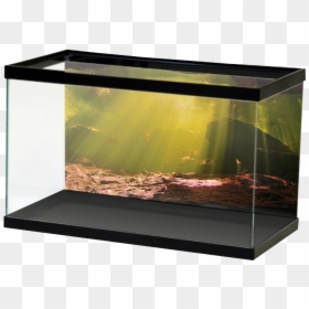 Aquariumvinyl Underwaterblackwatercave - River Rock Aquarium Background, HD Png Download - aquarium png