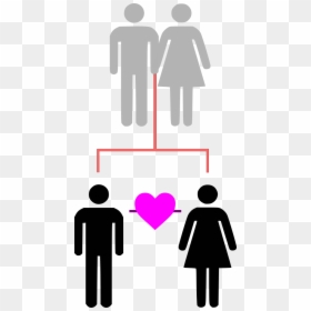 Transparent Brother And Sister Png - Female Toilet Sign, Png Download - male female symbols png