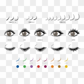 Different Types Of Eyelash Extension Looks, HD Png Download - pestañas png