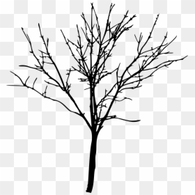 Transparent Bare Tree Silhouette, HD Png Download - tree art png