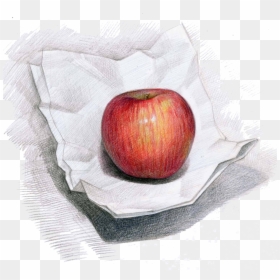 Apple Campus Painting Hand - Color Pencils Drawing Of Fruits, HD Png Download - drawing pencil png