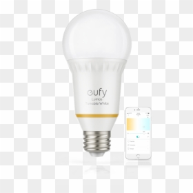 Compact Fluorescent Lamp, HD Png Download - bombillo png