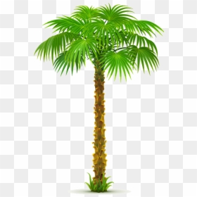 8963e73a Palm Tree Png, Paper Palm Tree, - Palm Tree Png Gif, Transparent Png - tree art png