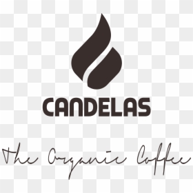 Calligraphy, HD Png Download - granos de cafe png
