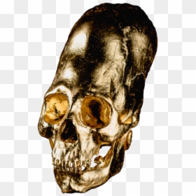 Alien Skull No - Skull, HD Png Download - gold skull png