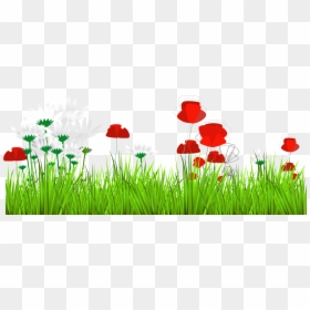 Transparent Poppies Png - Rumput Dan Bunga Png, Png Download - bunga png