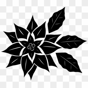 Good Night, Christmas, Christmas Flower - Poinsettia Clipart Black And White, HD Png Download - christmas flower png