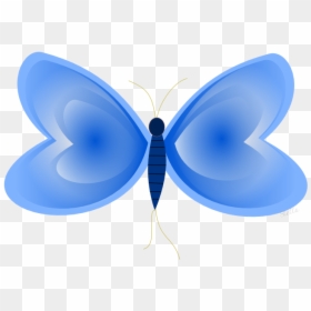 Borboletas Azul Desenho Png, Transparent Png - borboleta png