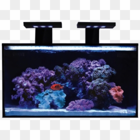 Rimless Aquarium Nuvo Fusion 20 Nano All In One Aquarium - Innovative Marine Aquarium, HD Png Download - aquarium png
