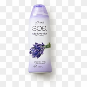 Wild Lavender Shower Milk - Natures Organics, HD Png Download - lavender plant png