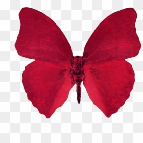 Red Butterfly, HD Png Download - borboleta png