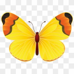 Borboleta Azul Colorida Png Imagens E Moldes - Clipart Butterfly Yellow, Transparent Png - borboleta png