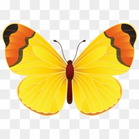 Borboleta Azul Colorida Png Imagens E Moldes - Clipart Butterfly Yellow, Transparent Png - borboleta png