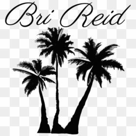 Transparent Background Palm Tree Silhouette Png , Transparent - Palm Tree Transparent Background, Png Download - white palm tree png