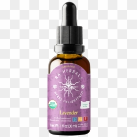 Organic Lavender Herbal Supplement - Herb, HD Png Download - lavender plant png