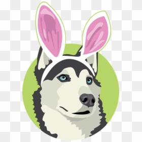 Easter Dog, Dog Easter, Easter, Dog With Bunny Ears - Cartoon, HD Png Download - easter bunny ears png