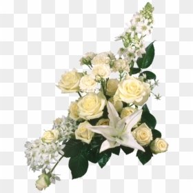 Transparent Grave Png - Imagenes De Rosas Blancas En Png, Png Download - bunga png