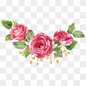 Roses Vector Png - Pink Flower Rose Vector Png, Transparent Png - watercolor roses png