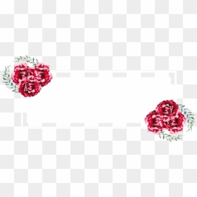 Garden Roses , Png Download - Artificial Flower, Transparent Png - watercolor roses png