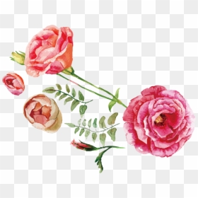 1381 X 1062 - Rose Flower Watercolor Png, Transparent Png - watercolor roses png